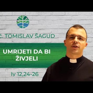 Odakle naziv „Pod smokvom”?