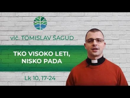Tko visoko leti, nisko pada