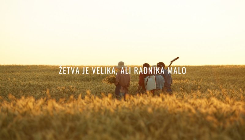 Bog i tebe poziva na svoju njivu