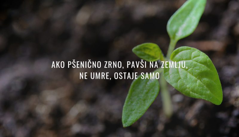 Da bi se živjelo, mora se umrijeti